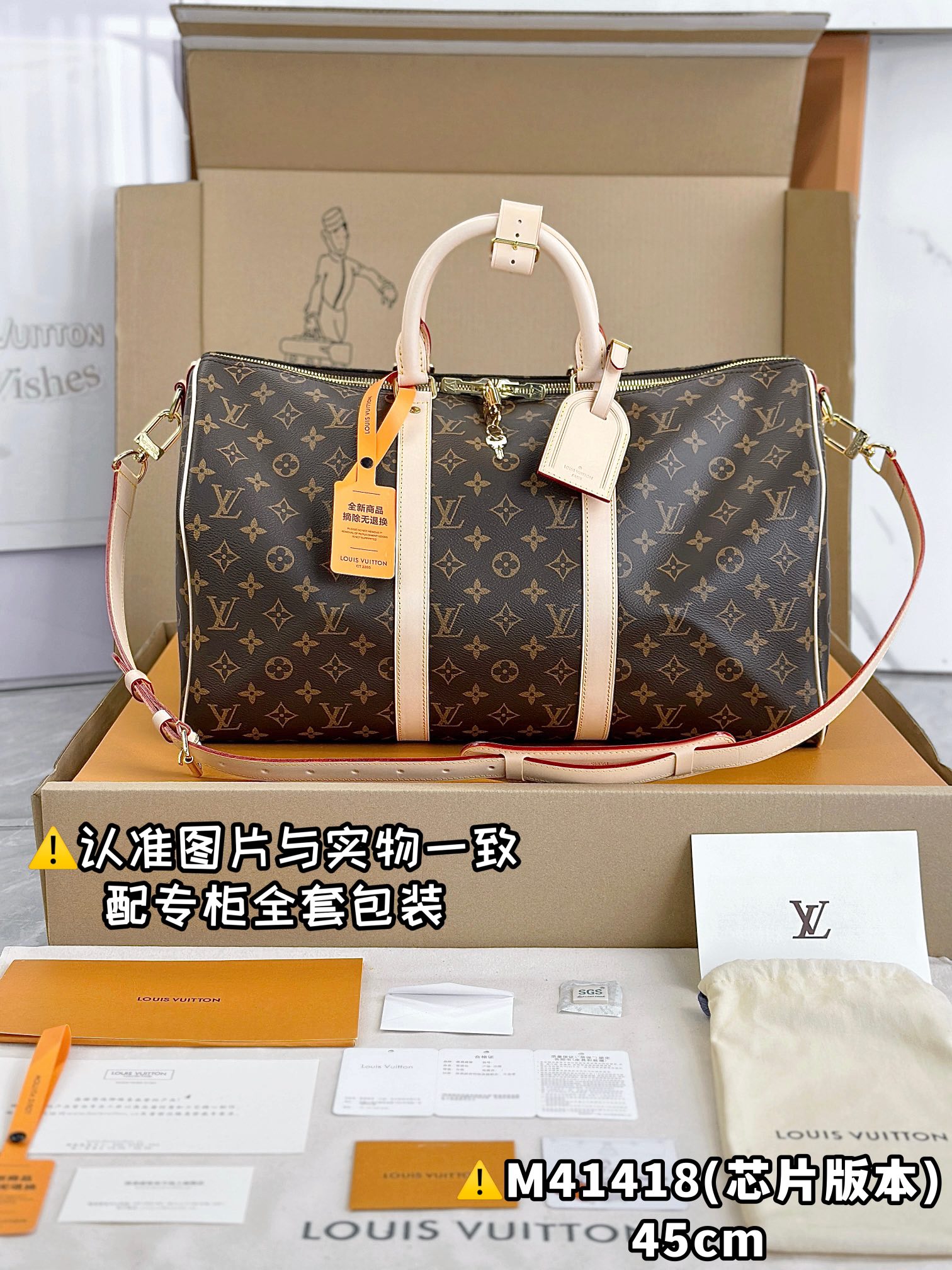 LV Travel Bags